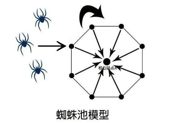 蜘蛛池技术最新解析与应用探讨