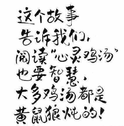 现代社会的隐忧与反思，最新毒鸡汤揭示真相