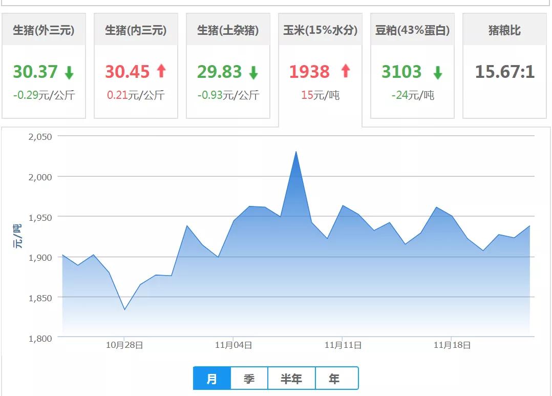 许可项目 第52页